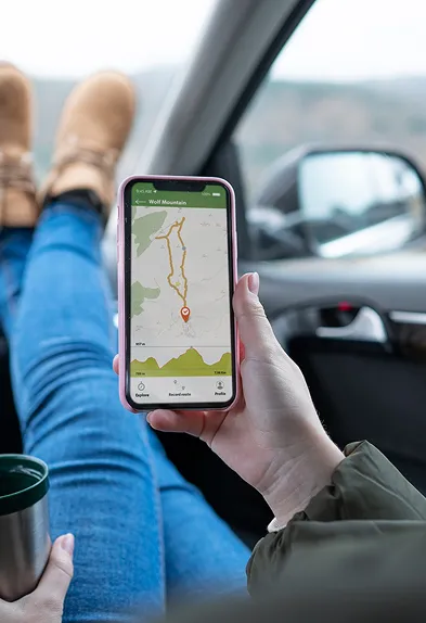 A rider following their trip on a phone from the back seat